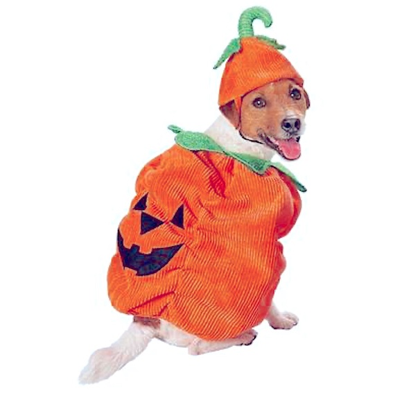 Bootique Other - Boutique Pumpkin Halloween Costume For Dogs, XXL, NEW NWT